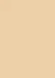 Бумага для дизайна A4 Folia Tintedpaper 21х29,7см 130г/м2 коричнево-желтый без текстуры (4001868064100) - изображение 3