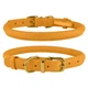 Ошейник для Собак Круглый Кожаный BronzeDog Premium Crazy Голд M 9 мм 30-40 см (002380) - изображение 1