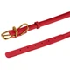 Ошейник для Собак Круглый Кожаный BronzeDog Premium Crazy Красный S 7 мм 23-33 см (002203) - изображение 4