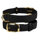 Ошейник для Собак Кожаный BronzeDog Crazy Черный XS 12 мм 20-28 см (00471) - изображение 4