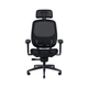 Комп'ютерне крісло Razer Fujin Pro Black (RZ38-04940100-R3G1) - зображення 1