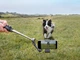 Монопод-стабілізатор DJI Osmo Mobile 7P (CP.OS.00000401.01) - зображення 10