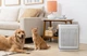 Очищувач повітря Levoit Vital 200S Pro Smart True HEPA LAP-V201S-AEUR (HEAPAPLVSEU0145Y) - изображение 5