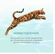 Влажный корм для кошек Optimeal Beauty Fitness 12 шт по 70 г (тунец с креветками) - изображение 4
