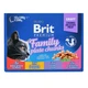 Набор влажных кормов Brit Premium Cat Pouch «Семейная тарелка» для кошек, ассорти из 4 вкусов, 12 шт х 100 г - изображение 2