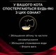 Влажный корм для кошек Purina Veterinary Diets DM - Diabetes Management Feline при диабете 10 шт по 85 г (говядина) - изображение 3