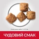 Сухой корм Hills SP Can Mature Adult 6+ для зрелых собак больших пород, с курицей, 14 кг - изображение 3