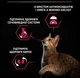 Сухой корм для стерилизованных кошек Purina Pro Plan Cat Adult Sterilised Savoury Duo Duck & Liver с уткой и печенью 1.5 (кг) - изображение 4