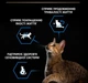 Сухой корм для стерилизованных кошек старше 7 лет Purina Pro Plan Cat Sterilised Senior Longevis Turkey с индейкой 10 (кг) - изображение 3
