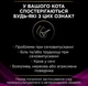 Влажный корм для кошек при заболеваниях мочевыводящих путей Purina Veterinary Diets UR St/Ox – Urinary Feline 195 г - изображение 4