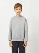 Детский теплый свитшот на флисе для мальчика Nike K Nsw Club Flc Crew Ls Lbr FD3006-063 S 128-137 см Dk Grey Heather/White (196607241189) - изображение 1