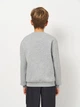 Детский теплый свитшот на флисе для мальчика Nike K Nsw Club Flc Crew Ls Lbr FD3006-063 S 128-137 см Dk Grey Heather/White (196607241189) - изображение 2