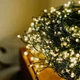 Гирлянда мелкая роса мишура 30м зеленая проволка от сети 900 LED теплый белый с пультом - изображение 2