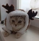 Костюм для котов (кошек) флисовый Новогодний Олень M Коричневый - изображение 9