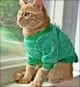 Джемпер для котов (кошек) Classic M Зеленый - изображение 1