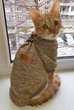 Джемпер для котів (кішок) Classic XL Коричневий - зображення 4