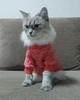 Джемпер для котов (кошек) Classic XL Красный - изображение 3