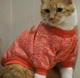 Джемпер для котов (кошек) Classic XL Красный - изображение 5