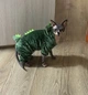 Костюм для котов (кошек) флисовый Дракон S Зеленый - изображение 6