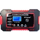 Зарядное устройство RJTianye для акумуляторов 12V RJ-C120501A - изображение 5