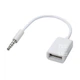 AUX переходник для автомобильных магнитол Ewell 4pin Jack 3.5 на USB, белый (EW796) - изображение 1