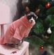 Флисовая кофта для котов (кошек) Бархат S Розовый - изображение 6