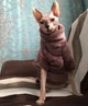 Флисовая кофта для котов (кошек) Бархат S Фиолетовый - изображение 7