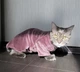 Флисовая кофта для котов (кошек) Бархат S Фиолетовый - изображение 9