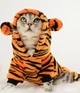 Костюм для котов (кошек) флисовый Тигр L Оранжевый - изображение 6