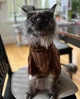 Флисовая кофта для котов (кошек) Фараон L Коричневый - изображение 7
