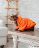 Толстовка для котов (кошек) Кенгуру XL Оранжевый - изображение 8