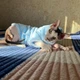 Флисовая кофта для котов (кошек) Бархат S Голубой - изображение 8