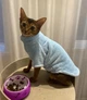 Флисовая кофта для котов (кошек) Бархат S Голубой - изображение 10