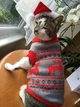 Свитер для котов (кошек) Олени XS Красный - изображение 7