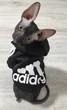 Толстовка для котов (кошек) Adidog M Черный - изображение 6