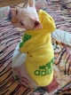 Толстовка для котов (кошек) Adidog 3XL Желтый - изображение 7