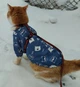 Толстовка для котов (кошек) Лаки Мишки L Серый - изображение 10