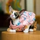 Кофта для котов (кошек) Лаки Лев XS Персиковый - изображение 4