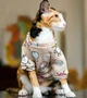 Толстовка для котов (кошек) Лаки Микс M Бежевый - изображение 2