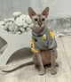 Толстовка для котов (кошек) Лаки Жираф XL Серый - изображение 4
