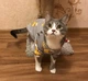 Толстовка для котов (кошек) Лаки Жираф XL Серый - изображение 8