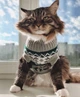 Светр для котів (кішок) Візерунки XL Сірий - зображення 7
