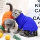 Свитер для котов (кошек) Премиум M Синий - изображение 6