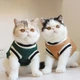 Свитер для котов (кошек) Бостон S Зеленый - изображение 8