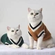 Свитер для котов (кошек) Бостон S Горчичный - изображение 6