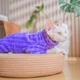 Флисовая кофта для котов (кошек) Фараон M Фиолетовый - изображение 4
