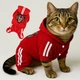 Костюм для котов (кошек) Тигр XL Красный - изображение 1