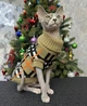 Свитер для котов (кошек) Бруно XS Коричневый - изображение 9