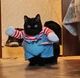 Костюм для котов (кошек) Чаки XS Разноцветный - изображение 7