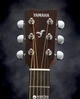 Гитара электроакустическая Yamaha FGX800C Sand Burst (FGX800C SDB) - изображение 2